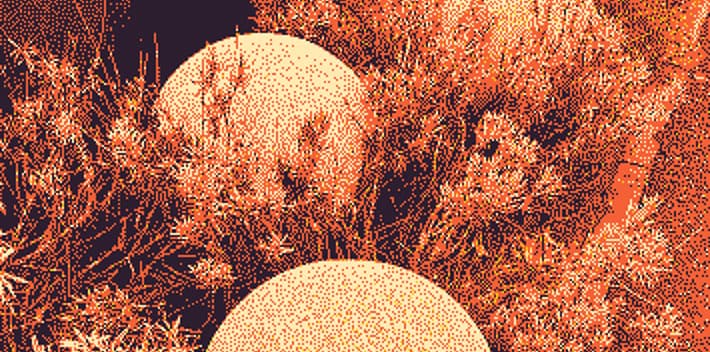 Dithered wildlife artwork