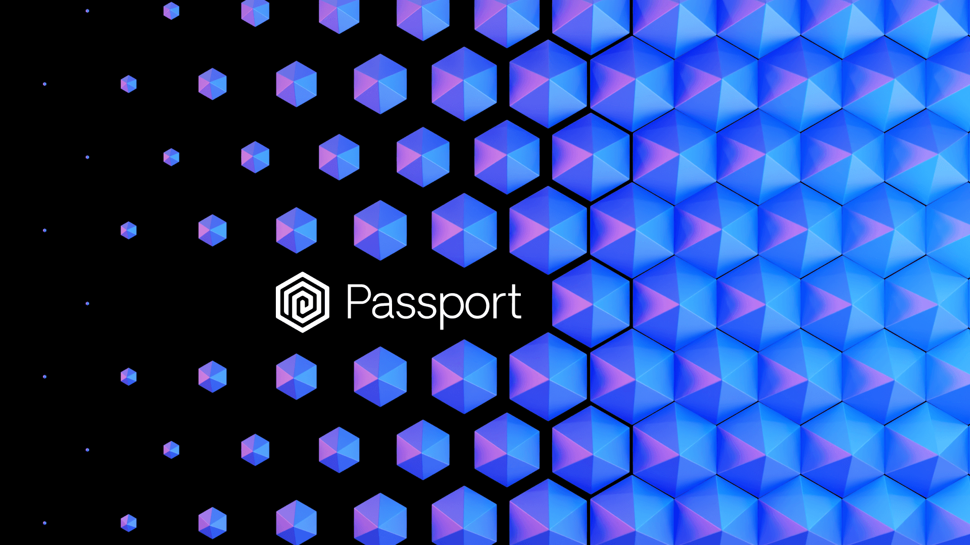 Passport XYZ interface artwork showing identity verification and scoring.